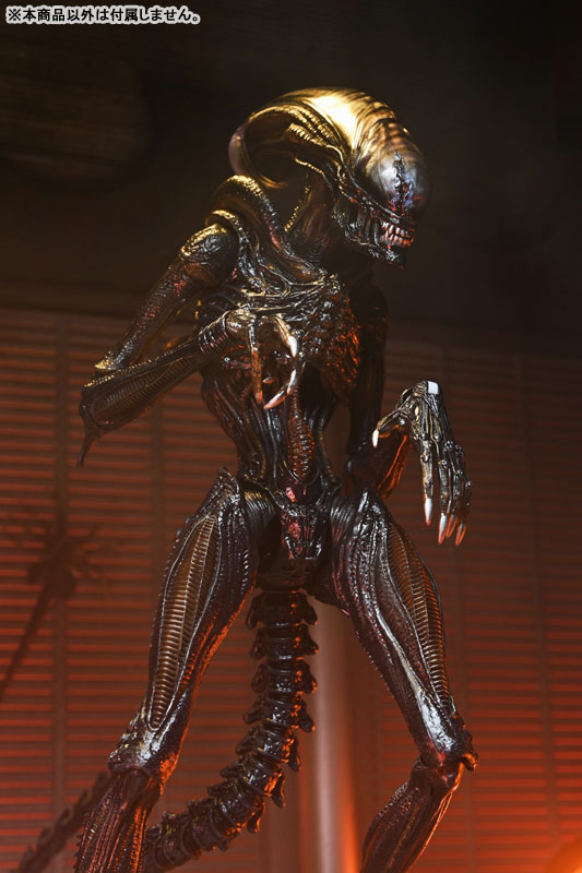 AmiAmi [Character & Hobby Shop] | Alien: Romulus / Scorched