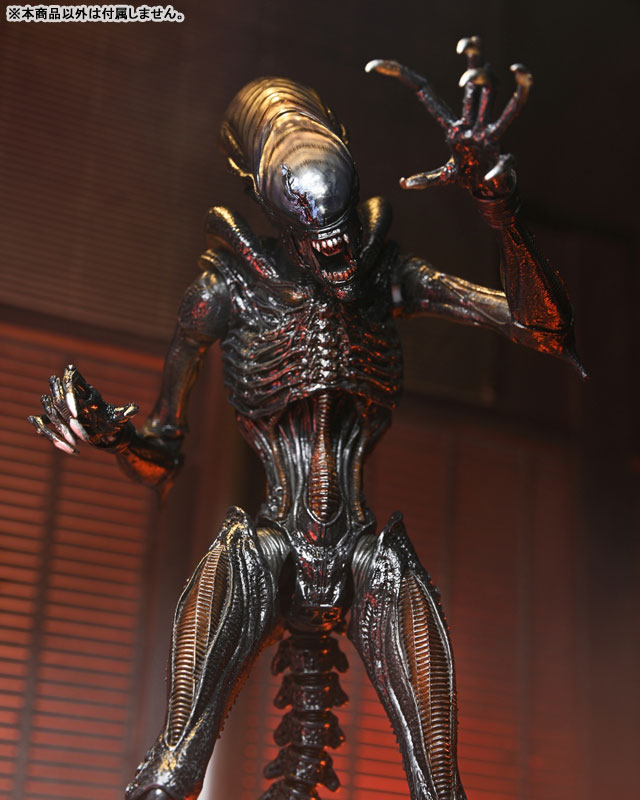 Alien: Romulus Xenomorph ネカ スコーチド エイリアン Alien: Romulus Ultimate Scorched Xenomorph 7-inch Scale