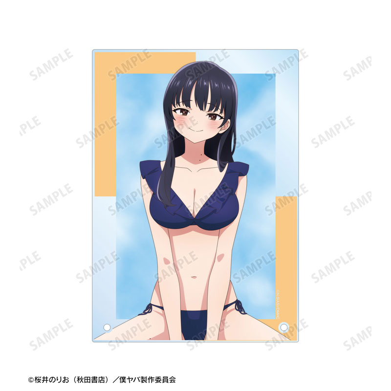 AmiAmi [Character & Hobby Shop] | TV Anime 