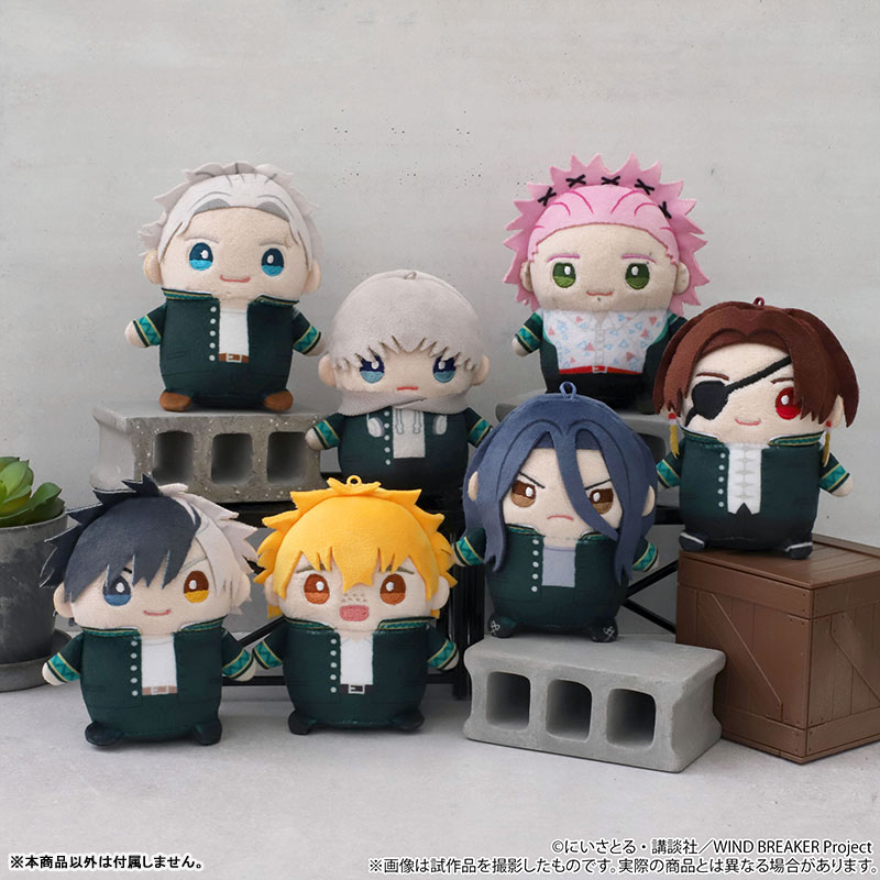 AmiAmi [Character & Hobby Shop] | WIND BREAKER Mamemeito (Plush