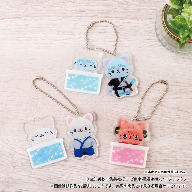AmiAmi [Character & Hobby Shop] | Gintama withCAT photograph