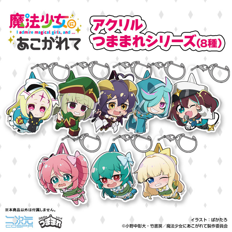 AmiAmi [Character & Hobby Shop] | TV Anime 
