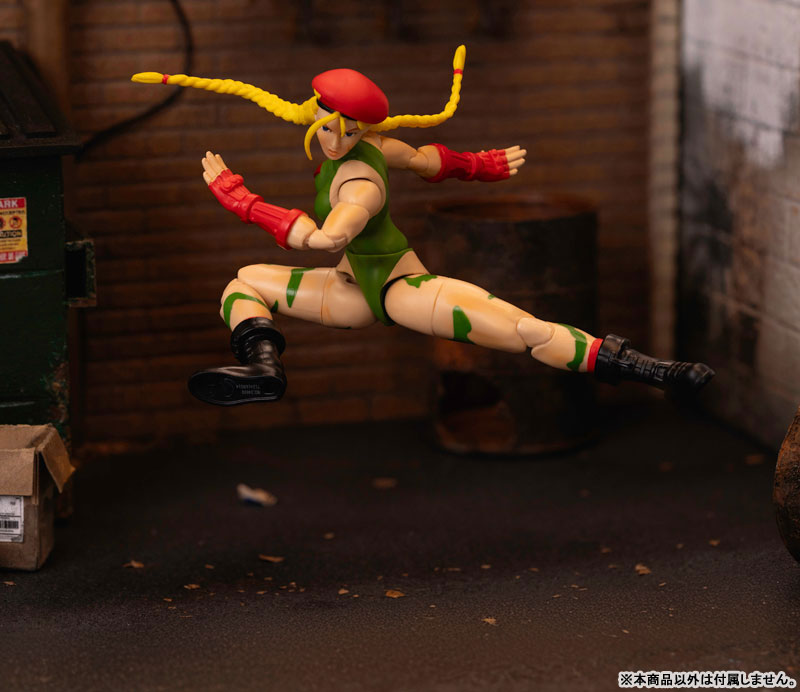 AmiAmi [Character & Hobby Shop] | Street Fighter Action Figure 1