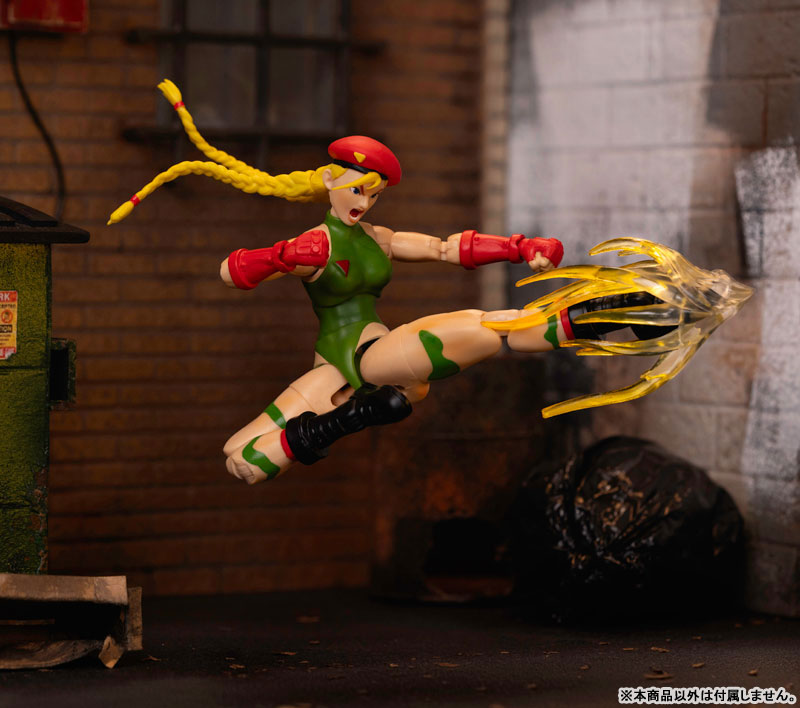 AmiAmi [Character & Hobby Shop] | Street Fighter Action Figure 1
