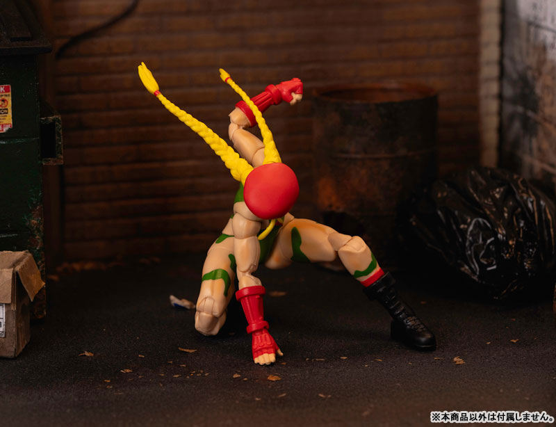 AmiAmi [Character & Hobby Shop] | Street Fighter Action Figure 1