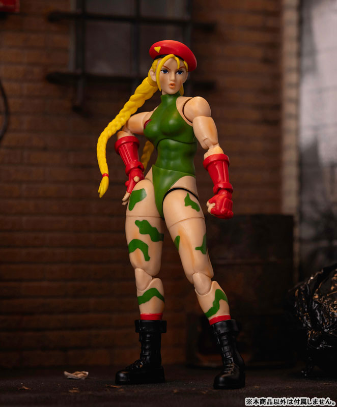 AmiAmi [Character & Hobby Shop] | Street Fighter Action Figure 1
