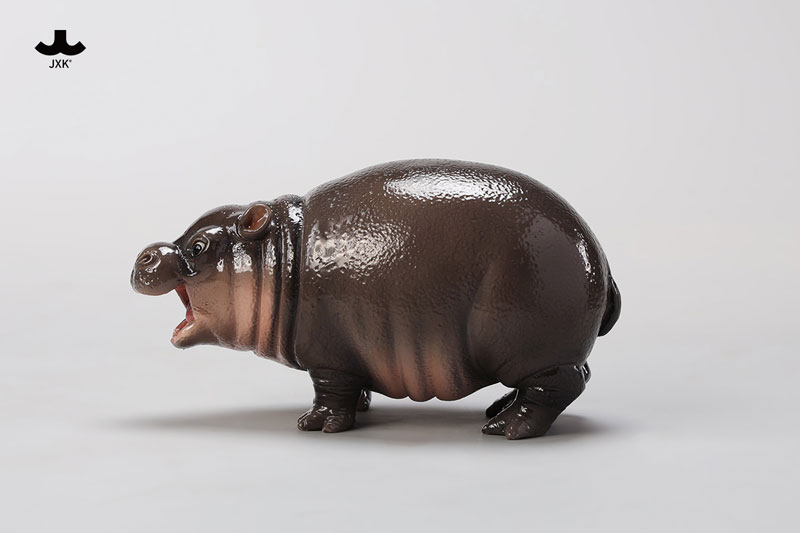 AmiAmi [Character & Hobby Shop] | 1/6 Baby Hippo(Released)