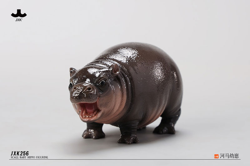 HIPPOさま ① AmiAmi [Character & Hobby Shop] | 1/6 Baby Hippo(Released)