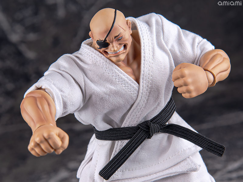 AmiAmi [Character & Hobby Shop] | 