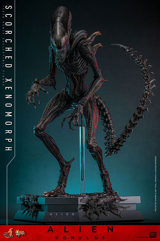 AmiAmi [Character & Hobby Shop] | Movie Masterpiece 