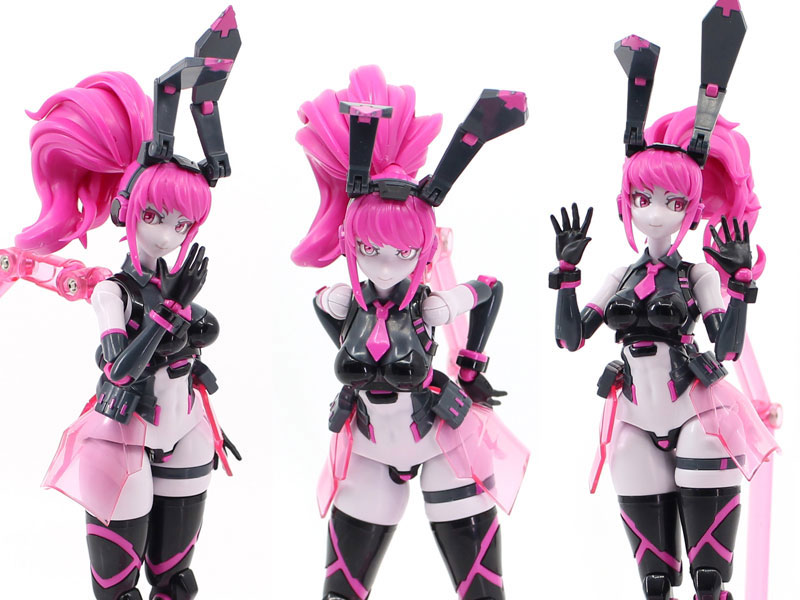 AmiAmi [Character & Hobby Shop] | Anima Circuit Vio the