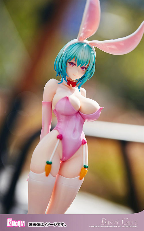 AmiAmi [Character & Hobby Shop] | The Rabbit Bunny Girls: Limited