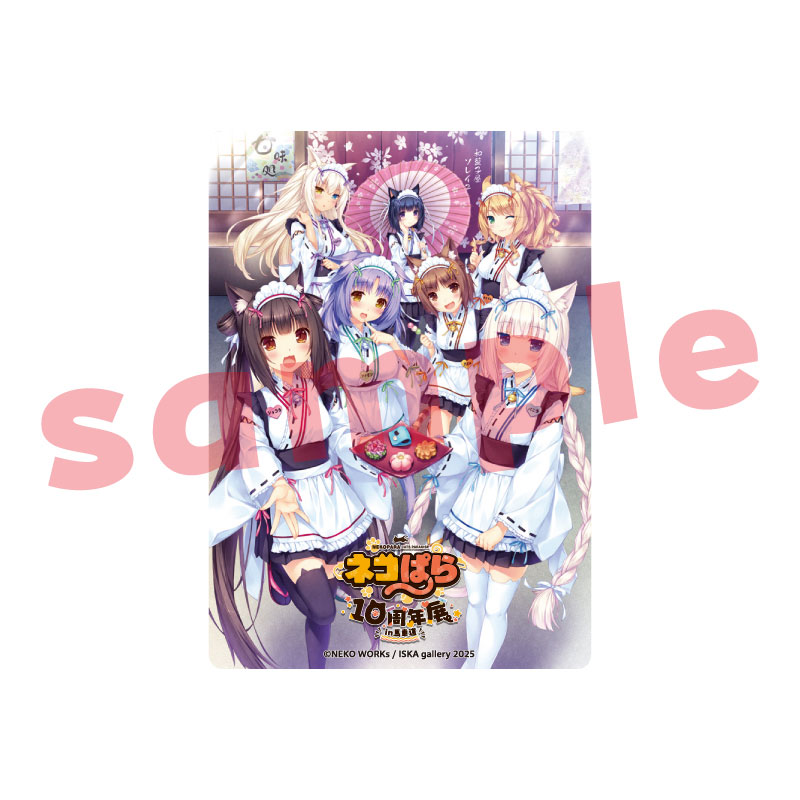 AmiAmi [Character & Hobby Shop] | 