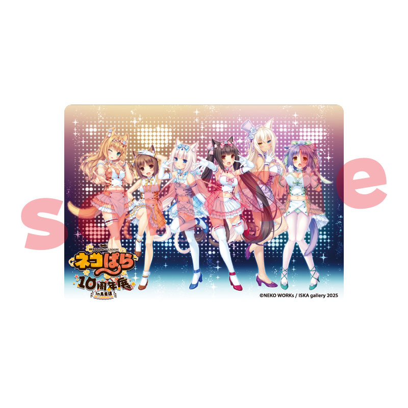 AmiAmi [Character & Hobby Shop] | 