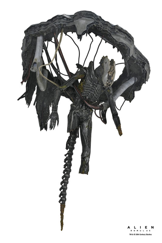 AmiAmi [Character & Hobby Shop] | Alien: Romulus / Xenomorph