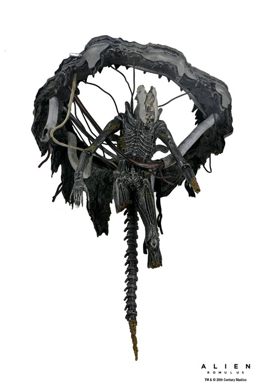AmiAmi [Character & Hobby Shop] | Alien: Romulus / Xenomorph