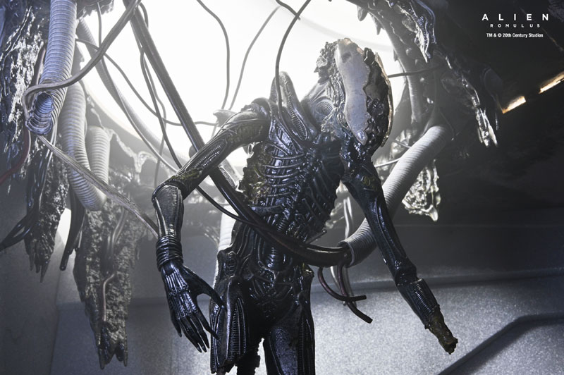 AmiAmi [Character & Hobby Shop] | Alien: Romulus / Xenomorph