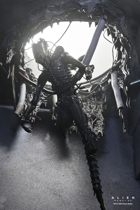 特撮 Alien Xenomorph AmiAmi [Character & Hobby Shop] | Alien: Romulus / Xenomorph