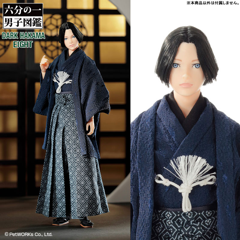 たかみページ AmiAmi [Character & Hobby Shop] | 1/6 Male Encyclopedia