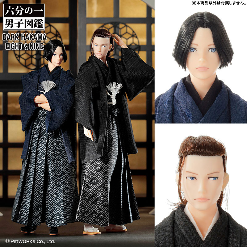 AmiAmi [Character & Hobby Shop] | 1/6 Male Encyclopedia Hakama