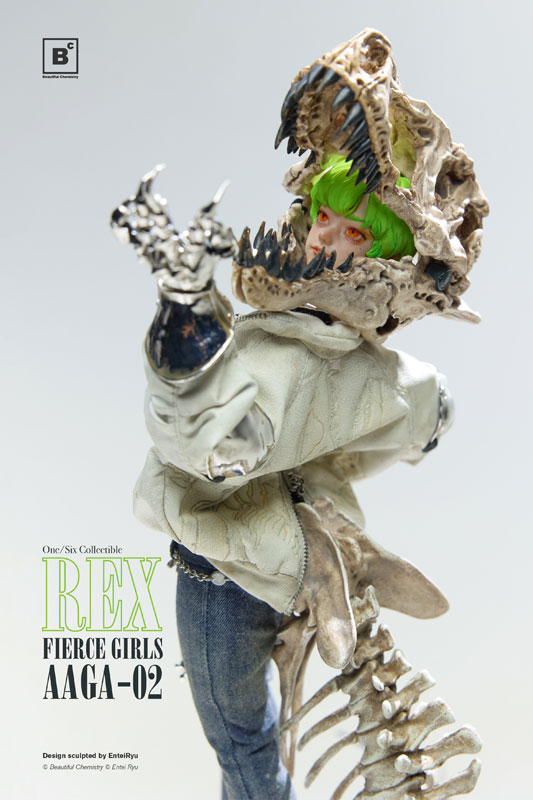 AmiAmi [Character & Hobby Shop] | Beautiful Chemistry x Entei Ryu