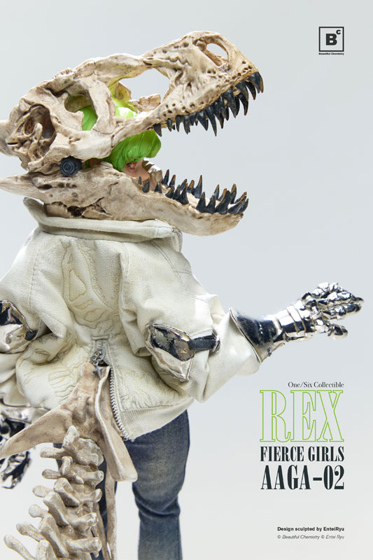 Underverse Gunner AAGA-02 REX 1/6 中古品 AmiAmi [Character & Hobby Shop] | Beautiful Chemistry x Entei Ryu