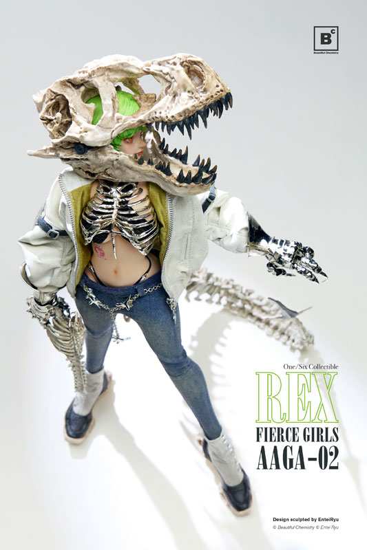 AmiAmi [Character & Hobby Shop] | Beautiful Chemistry x Entei Ryu