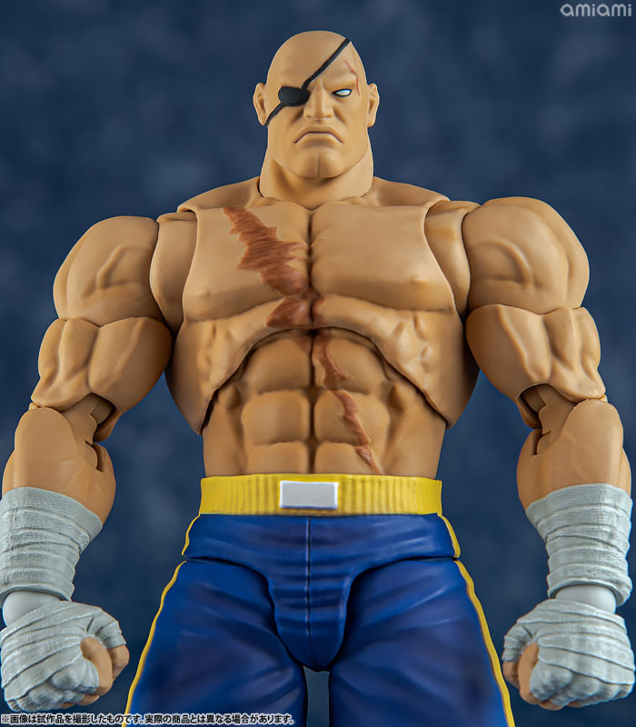 AmiAmi [Character & Hobby Shop] | Street Fighter Alpha 3 1/12