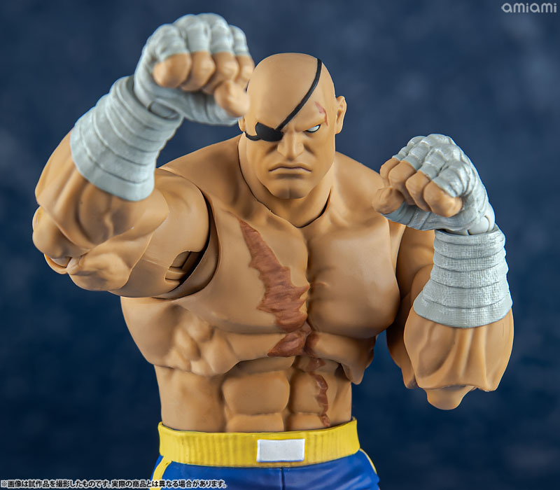 AmiAmi [Character & Hobby Shop] | Street Fighter Alpha 3 1/12