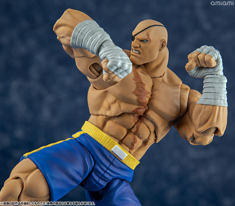AmiAmi [Character & Hobby Shop] | Street Fighter Alpha 3 1/12