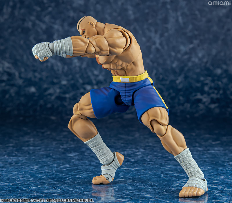AmiAmi [Character & Hobby Shop] | Street Fighter Alpha 3 1/12