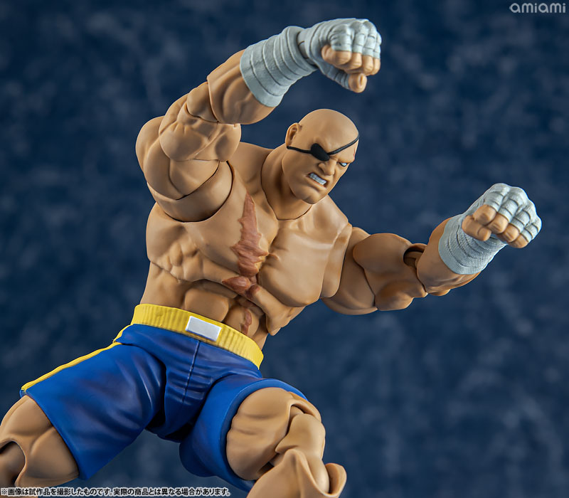 AmiAmi [Character & Hobby Shop] | Street Fighter Alpha 3 1/12