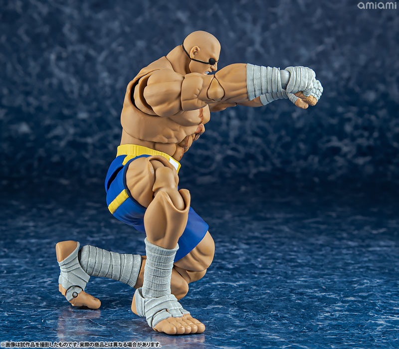AmiAmi [Character & Hobby Shop] | Street Fighter Alpha 3 1/12