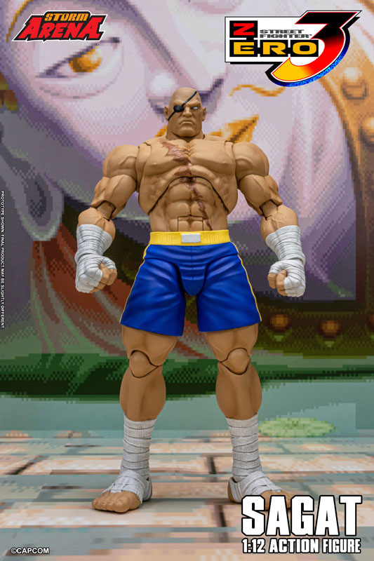 AmiAmi [Character & Hobby Shop] | Street Fighter Alpha 3 1/12
