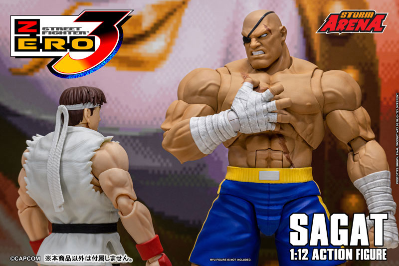 AmiAmi [Character & Hobby Shop] | Street Fighter Alpha 3 1/12