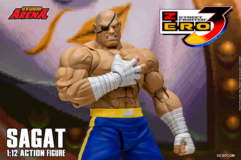 AmiAmi [Character & Hobby Shop] | Street Fighter Alpha 3 1