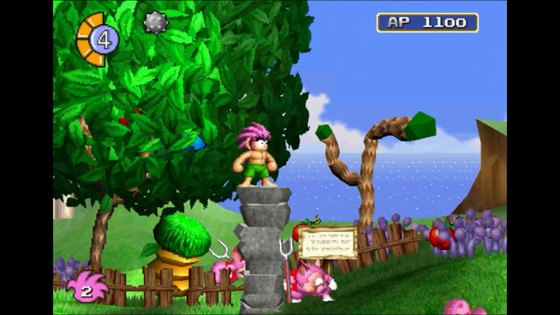 AmiAmi [Character & Hobby Shop] | Nintendo Switch Tomba