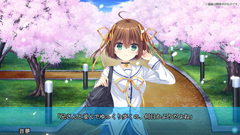 ♡NintendoSwitch 桜ピンク♡ nint-14a.jpg