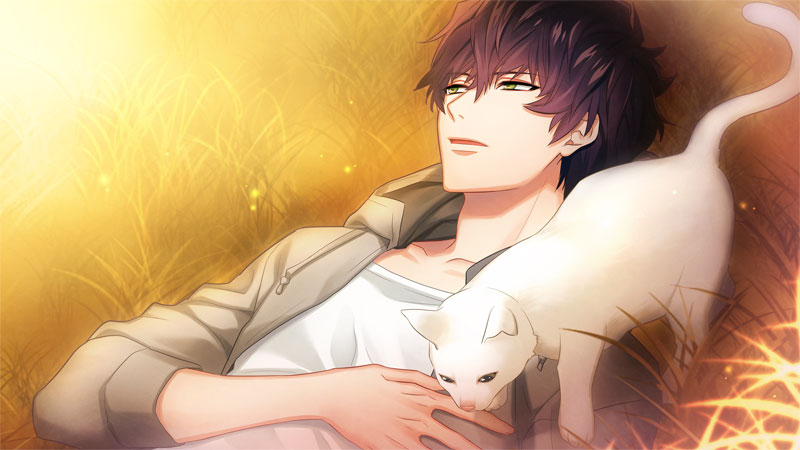 AmiAmi [Character & Hobby Shop] | Nintendo Switch DYNAMIC CHORD