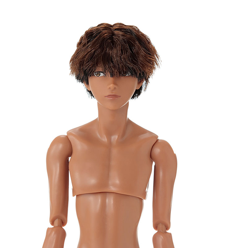 AmiAmi [Character & Hobby Shop] | 1/6 Male Encyclopedia