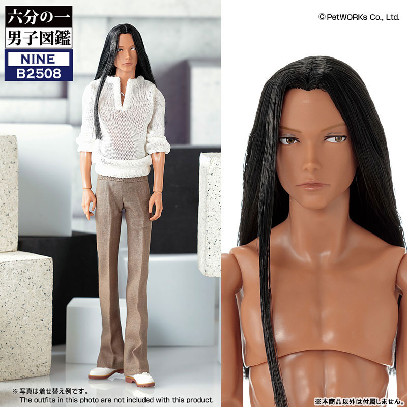 AmiAmi [Character & Hobby Shop] | 1/6 Male Encyclopedia