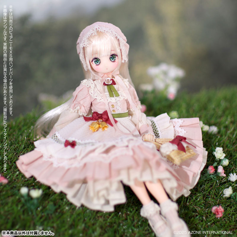 AmiAmi [Character & Hobby Shop] | 1/6 Iris Collection Petite