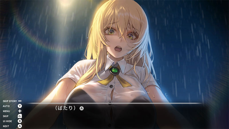 AmiAmi [Character & Hobby Shop] | [Bonus] Nintendo Switch Love
