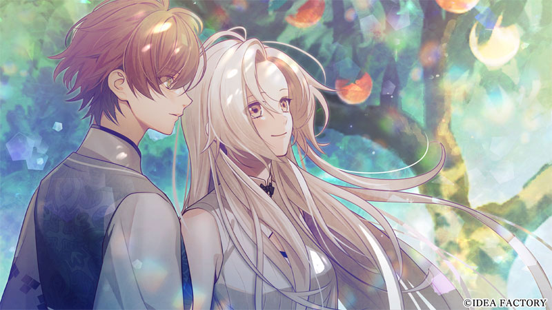 MIDNIGHT SWAN specialbox  okiraku2 豪華特装版 MIDNIGHT SWAN specialbox okiraku2 豪華特装版