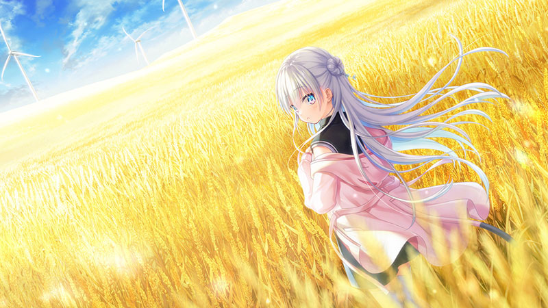 AmiAmi [Character & Hobby Shop] | [AmiAmi Limited Edition] PC Game