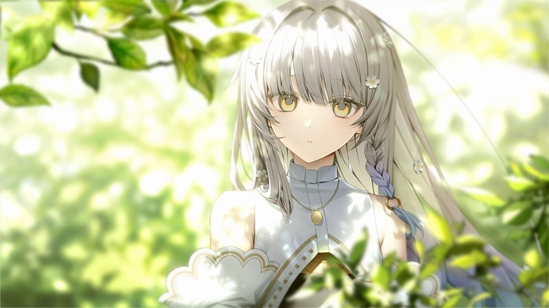 AmiAmi [Character & Hobby Shop] | PC Game KANADE Special Package