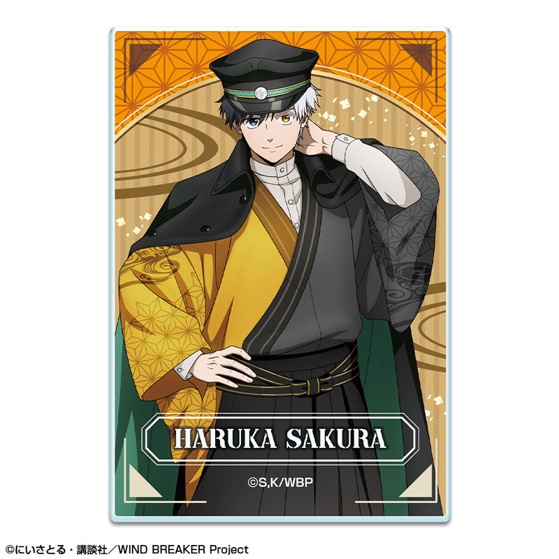 AmiAmi [Character & Hobby Shop] | TV Anime 
