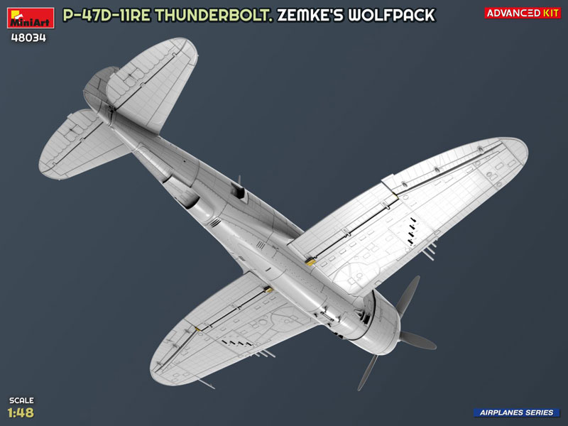 iemmikki 様 AmiAmi [Character & Hobby Shop] | 1/48 P-47D-11RE