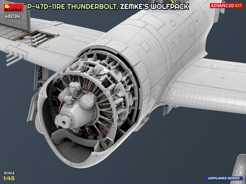 iemmikki 様 AmiAmi [Character & Hobby Shop] | 1/48 P-47D-11RE