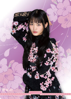 AmiAmi [Character & Hobby Shop] | Build Divide -Bright